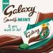 Galaxy Smooth Mint 1.25 PMP 24 x 110g (MINT) - Buy Online on GoSupps.com
