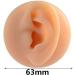 HADZLPOY Silicone Ear Model | Professional Piercing Practice Tool with Stand (Right) - Buy Online on GoSupps.com