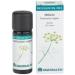  EQUISALUD EQUISALUD Essence Fennel 10 ml - Buy Online on GoSupps.com