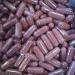 Black cohosh - Buy Online on GoSupps.com