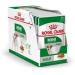 Royal Canin Mini Adult Wet Food Pouches 85g (Pack of 48) Meat 4.08 kg (Pack of 1) - Buy Online on GoSupps.com