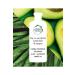 Herbal Essences Brand: Aloe And Avocado Shampoo 380 Ml Category: Shampoo - Buy Online on GoSupps.com