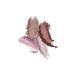 Jane Iredale Rose Dawn Bronzer (Refill) - Buy Online on GoSupps.com