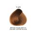 Selective Professional Colorevo Hair Dye 60ml 7.43 Cinnamon Copper - Buy Online on GoSupps.com