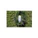 Petal Fresh Lavender Soothing Hand and Body Lotion 355 ml 713708725136 - Buy Online on GoSupps.com
