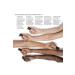 Bobbi Brown Foundation - Skin Long-Wear Weightless Foundation Spf 15 Warm Natural 30 ml 716170184104 - Buy Online on GoSupps.com