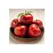 MOTHER OLIVE Homemade Apple Cider Vinegar 500ml - Buy Online on GoSupps.com