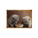 Dreamies Cat Reward Food Salmon 60 gr 12 Pieces - Buy Online on GoSupps.com
