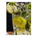 ALBERO Freeze Dried Lime Organic 50 Gr 25-30 pieces - Buy Online on GoSupps.com