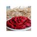 G LE K Y Hot Pepper Paste 1 kg - Buy Online on GoSupps.com