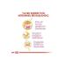 Royal Canin Kitten British Shorthair Kitten Cat Food 2 Kg - Buy Online on GoSupps.com