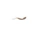 Note Cosmetics Brow Addict Fix Fill Eyebrow Shadow Mascara 2 in 1 02 .brow-222205 - Buy Online on GoSupps.com