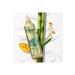 Pantene Styling Cream Miracles Bamboo And Biotin 270 Ml Category: Hair Cream - Buy Online on GoSupps.com