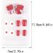 dijiusidy False Nail Perfect Matching Simple to Wear Fingernail Full Coverage Press Type Strong Viscosity Adjustable Paster Type 9 F741 Type 9 F741 - Buy Online on GoSupps.com