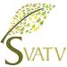SVATV Bentonite Clay Powder Natural Face Packs and Face Mask Formulations Nourishes Exfoliants Soft & Glowing Skin and Detoxifies Face Mask Skin Care - 227g - Buy Online on GoSupps.com