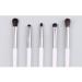 DFHBFG 5-Piece Eye Shadow Brush Set | Smudge Eyeliner & Makeup Brushes for Flawless Eye Looks - Buy Online on GoSupps.com