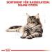 Royal Canin Light Weight Care Adult Dry Cat Food 400g - Buy Online on GoSupps.com