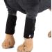 Pair of Dog Front Leg Brace - Canine Compression Wrap Protects Wounds Heal Support Due to Arthritis to Prevent Injuries(1 Pair SM) - Buy Online on GoSupps.com