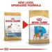ROYAL CANIN Boxer Puppy 30 Dry Mix 3 kg - Buy Online on GoSupps.com