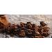Forest Organics Sea Spray Spritz Blitz Supercharged with Chaga Mushroom - Buy Online on GoSupps.com
