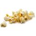 The Can-Do Crew XL Bucket Sweet Popcorn (600g) Traditionally Popped ! - Buy Online on GoSupps.com