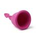 ELANEE Menstrual Cup Size 2 | Easy Removal Pull Tab | 33 ml Capacity | Eco-Friendly & Comfortable - Buy Online on GoSupps.com
