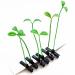 9-Piece Grass Hair Clips & Soybeans Hairpins - Cute Green Leaf Accessories for Women Girls & Kids - Perfect Gift! - Buy Online on GoSupps.com