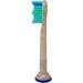 Sustainable Replacement Toothbrush Heads for PLP Simply Clean - 4 Soft Dupont Bristles - Eco-Friendly Wheat Straw Brush Heads - Buy Online on GoSupps.com