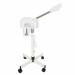 InSyoForeverEC Digital Ozone Steamer - For Beauty Studios - 750W - White