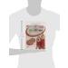 NewGem Sandwich Wrap - Tomato 6 Wraps - Buy Online on GoSupps.com
