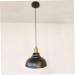 Chandelier Pendant Light Iron Hanging lampshade Retro Ceiling lamp Pendant lamp Ceiling Lights Hanging lamp Shade Vintage Ceiling Light Vintage lamp Shade Lighting Branches Fixture Beauty Comes - Buy Online on GoSupps.com