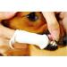 Petosan Microfiber Finger Brush for Dogs - 2 Pack Mouth Cleaner | International Shipping Available - Buy Online on GoSupps.com