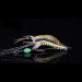 OriGlam 5pcs Soft Luminous Shrimp Lure Set - 5 Colors Shrimp Bait with Hooks for Bass, Trout, Catfish - Fishing Tackles for Freshwater and Saltwater - Happy Shopping Day - Buy Online on GoSupps.com