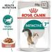 Royal Canin Instinctive Adult 7+ In Gravy Adult Wet Cat Food 85g (Pack of 48) - Buy Online on GoSupps.com