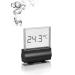 JUWEL Digital Thermometer 3.0 Precise Temperature Monitoring Suitable for Freshwater and Seawater - Buy Online on GoSupps.com