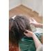 Gryph and IvyRose Calendula Field Mint Hair Detangler Spray for Kids - 8 oz - Buy Online on GoSupps.com