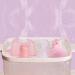Silicone Baby Nasal Aspirator & Medicine Syringe Pacifier Set - 10ml Oral Feeding, Baby Nursing Kit w/ Collecting Box - Buy Online on GoSupps.com