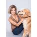 100% Baltic Amber Dog & Cat Chains | Effective Tick Protection | Ilikeamber.com - Buy Online on GoSupps.com