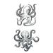 Kids Party Favor Waterproof Temporary Tattoo Sticker Set | Jellyfish Octopus Squid Cartoon Design | 10.5X6cm | Pack of 12 - Buy Online on GoSupps.com