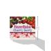 Hazer Baba Cherry Berry Turkish Delight 250g - Authentic Turkish Delight with Cherry Berry flavors - Buy Online on GoSupps.com