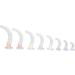 Disposable Oropharyngeal Airway Tube - Professional Tracheal Emergency Aid - Buy Online on GoSupps.com