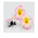 12PCS Hawaiian Plumeria Flower Hair Clips - Bohemia Foam Hairpins for Bridal Wedding Party Beach Holiday (Rose Red) - Buy Online on GoSupps.com