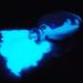 Blue Glow in The Dark Powder 30g for Resin, Epoxy, Paint, Acrylic, Slime & Glue - Buy Online on GoSupps.com