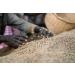 West End Coffee Roasters Ethiopia Chelchele Top Grade Single Origin Medium Roast Whole Bean (12oz/340.2g x 3) Ethiopia Chelchele - med roast 113.33 g (Pack of 3) - Buy Online on GoSupps.com