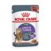 Royal Canin Appetite Control Care Adult Wet Cat Food in Gravy Adult Wet Cat Food 85g (Pack of 48) Meat 48 count (Pack of 1)