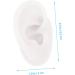 4pcs Silicone Human Ear Anatomy Model for Jewelry and Ear Piercing Practice | Fake Mannequin Ear Mold Set | Body Parts Training Tool - Buy Online on GoSupps.com