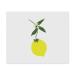 2 x Microfiber Cleaning Cloths (LC00022922) "Lemon with Leaves"