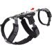 Buy Black/Grey Safety Harness - Maldon LL | International Shipping Available - Buy Online on GoSupps.com