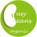 Organic Semolina - Certified Organic - by Busy Beans Organic (500g) - Buy Online on GoSupps.com