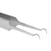 Curved Pimple Removal Tweezers - Stainless Steel Blackhead Extractor with Storage Box | Facial Care Tools for Flawless Skin - Buy Online on GoSupps.com